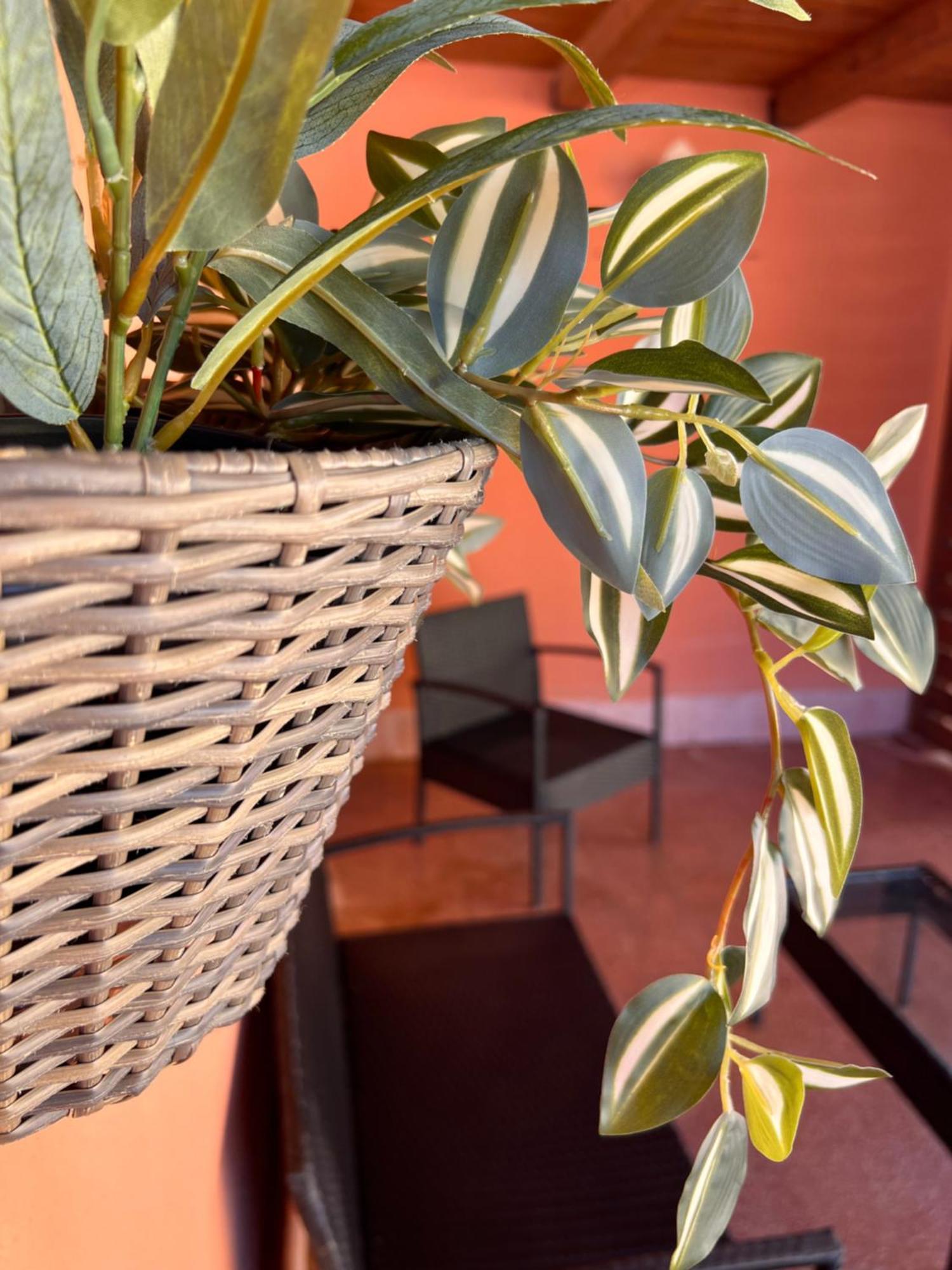 Casa Vacanze Filippa Balestrate Εξωτερικό φωτογραφία